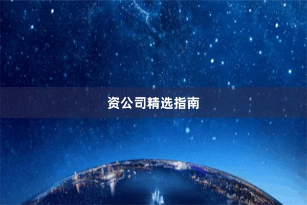 资公司精选指南