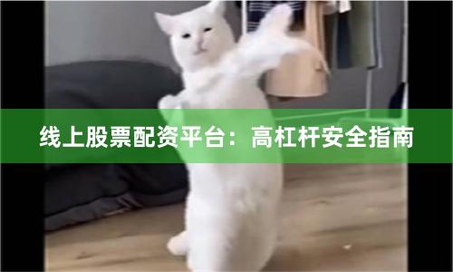 线上股票配资平台：高杠杆安全指南